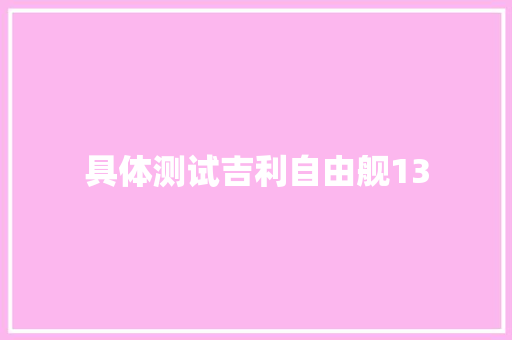 具体测试吉利自由舰13