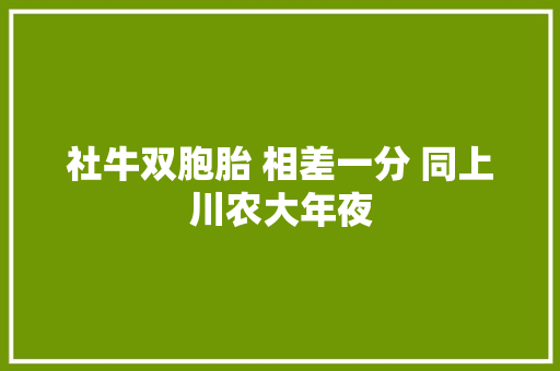 社牛双胞胎 相差一分 同上川农大年夜