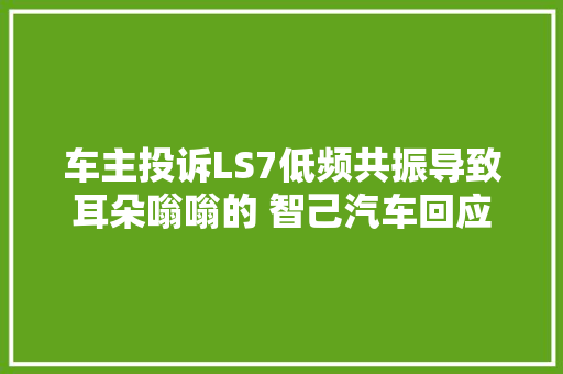 车主投诉LS7低频共振导致耳朵嗡嗡的 智己汽车回应