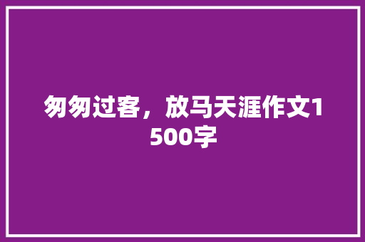 匆匆过客，放马天涯作文1500字