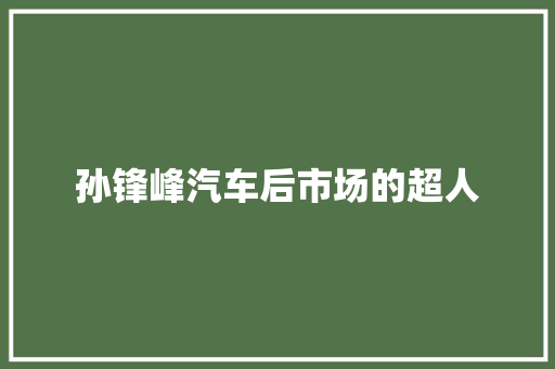 孙锋峰汽车后市场的超人