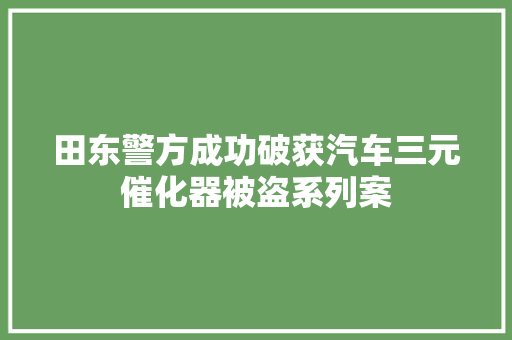 田东警方成功破获汽车三元催化器被盗系列案