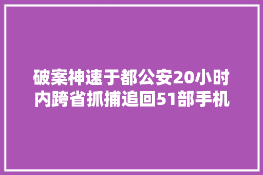 破案神速于都公安20小时内跨省抓捕追回51部手机