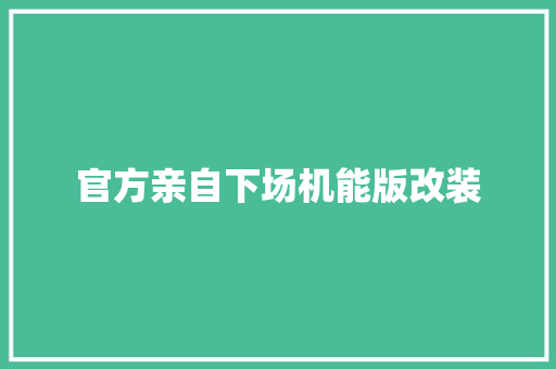 官方亲自下场机能版改装