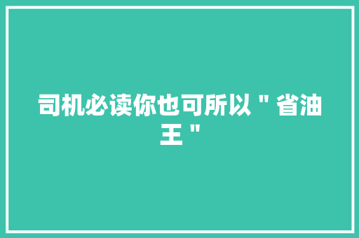 司机必读你也可所以＂省油王＂