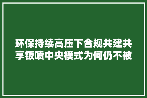 环保持续高压下合规共建共享钣喷中央模式为何仍不被看好