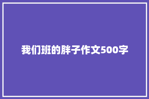 我们班的胖子作文500字