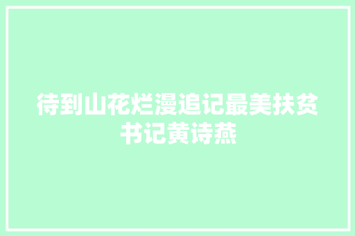 待到山花烂漫追记最美扶贫书记黄诗燕