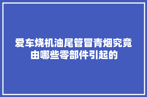爱车烧机油尾管冒青烟究竟由哪些零部件引起的