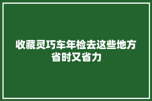 收藏灵巧车年检去这些地方省时又省力