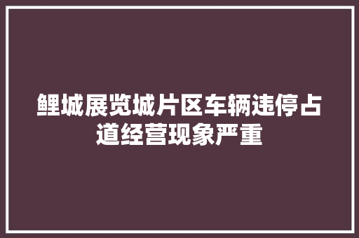 鲤城展览城片区车辆违停占道经营现象严重