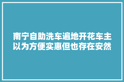 南宁自助洗车遍地开花车主以为方便实惠但也存在安然隐患
