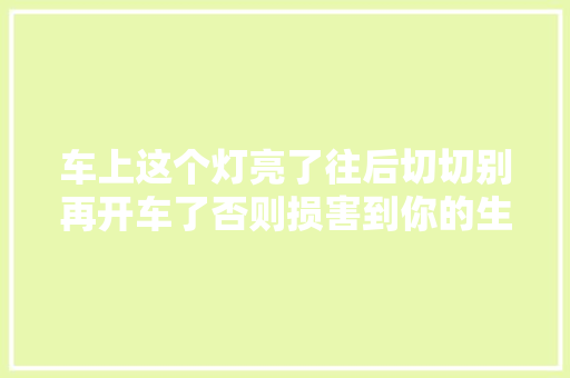 车上这个灯亮了往后切切别再开车了否则损害到你的生命