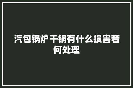 汽包锅炉干锅有什么损害若何处理 汽车知识