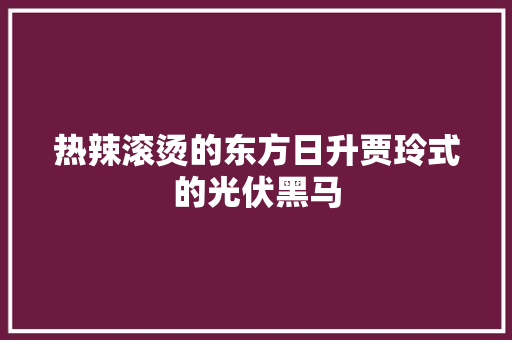 热辣滚烫的东方日升贾玲式的光伏黑马