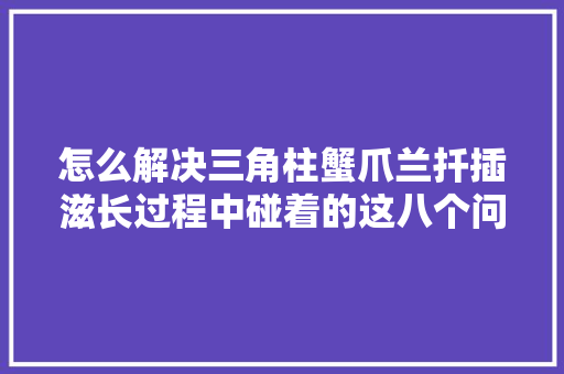 怎么解决三角柱蟹爪兰扦插滋长过程中碰着的这八个问题 汽车知识