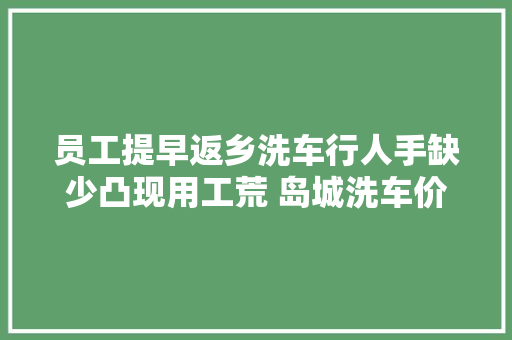 员工提早返乡洗车行人手缺少凸现用工荒 岛城洗车价格普涨一倍 春节时期还会更贵