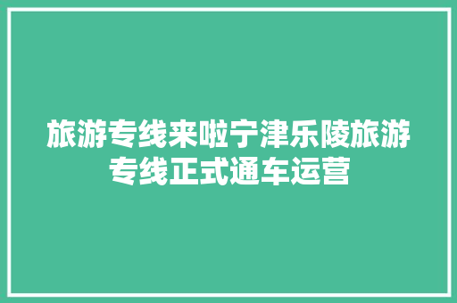 旅游专线来啦宁津乐陵旅游专线正式通车运营 汽车知识