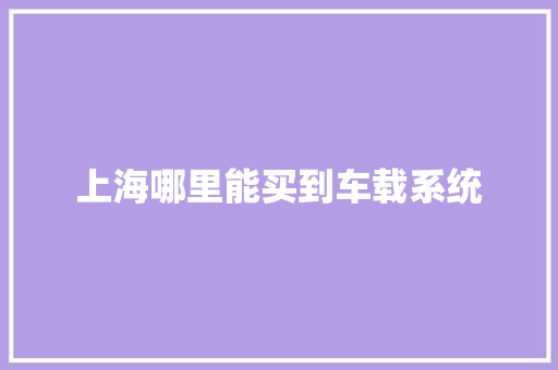 上海哪里能买到车载系统