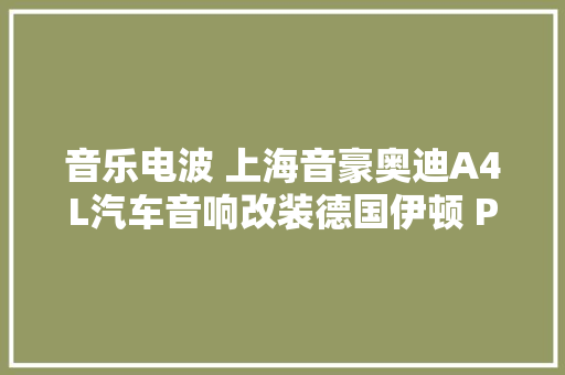 音乐电波 上海音豪奥迪A4L汽车音响改装德国伊顿 PRW 16 两分频