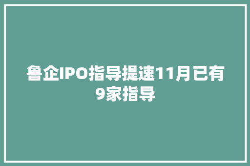 鲁企IPO指导提速11月已有9家指导