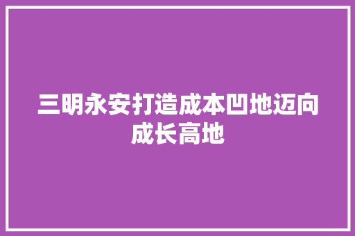 三明永安打造成本凹地迈向成长高地