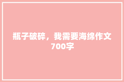 瓶子破碎，我需要海绵作文700字
