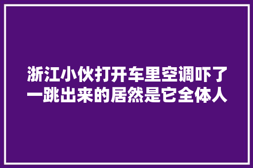 浙江小伙打开车里空调吓了一跳出来的居然是它全体人都崩溃了