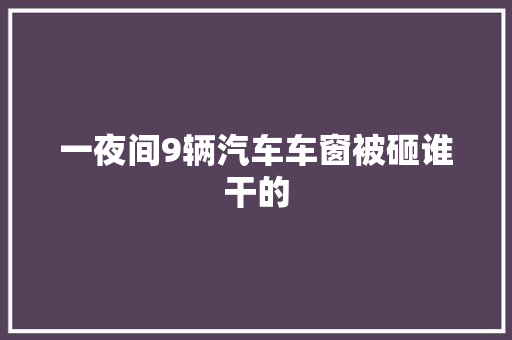 一夜间9辆汽车车窗被砸谁干的