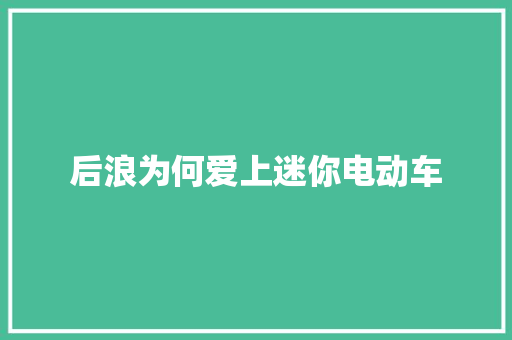 后浪为何爱上迷你电动车 汽车知识