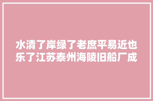 水清了岸绿了老庶平易近也乐了江苏泰州海陵旧船厂成网红打卡地