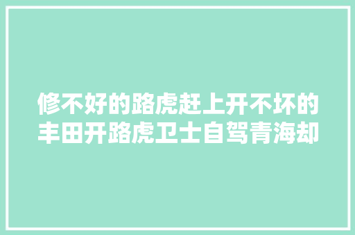 修不好的路虎赶上开不坏的丰田开路虎卫士自驾青海却坏在戈壁无人区 汽车知识