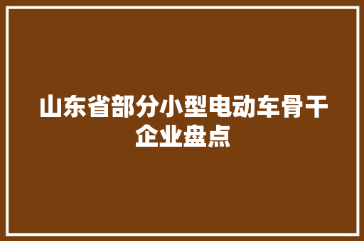 山东省部分小型电动车骨干企业盘点