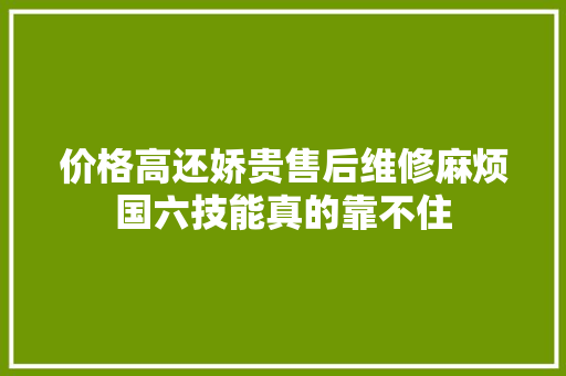 价格高还娇贵售后维修麻烦国六技能真的靠不住