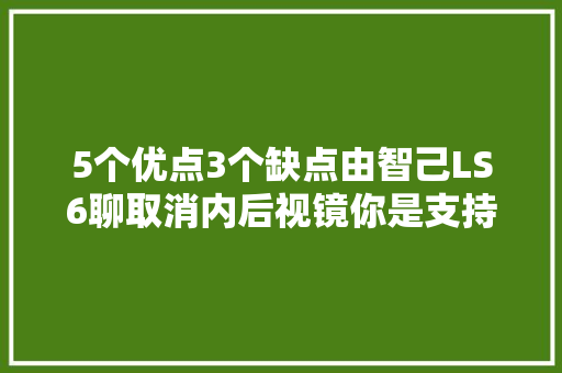 5个优点3个缺点由智己LS6聊取消内后视镜你是支持照样否决