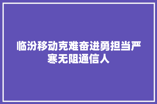 临汾移动克难奋进勇担当严寒无阻通信人