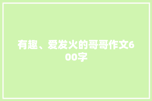 有趣、爱发火的哥哥作文600字