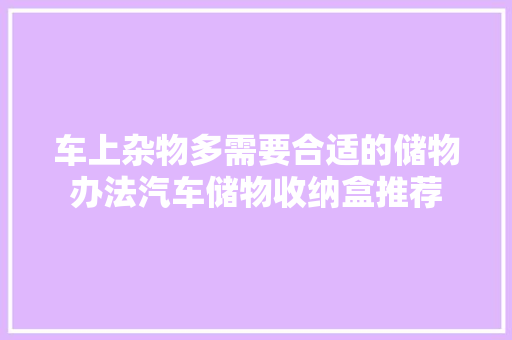 车上杂物多需要合适的储物办法汽车储物收纳盒推荐