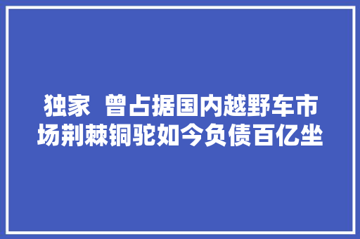 独家  曾占据国内越野车市场荆棘铜驼如今负债百亿坐等重整与这家车企有渊源的造车新势力也不好过