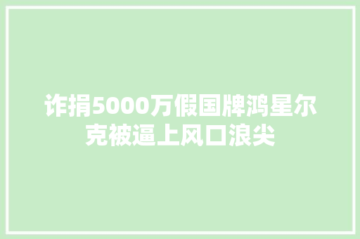 诈捐5000万假国牌鸿星尔克被逼上风口浪尖