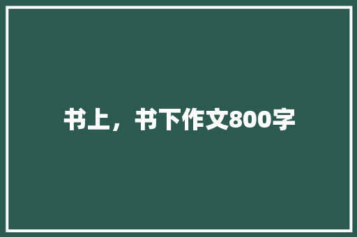 书上，书下作文800字