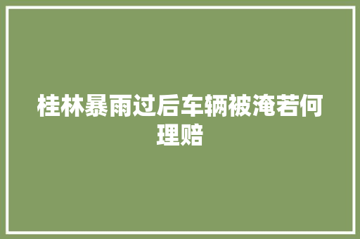 桂林暴雨过后车辆被淹若何理赔