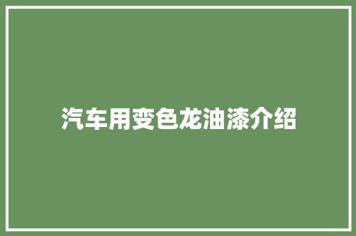 汽车用变色龙油漆介绍