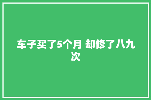 车子买了5个月 却修了八九次