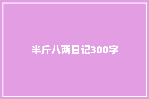 半斤八两日记300字