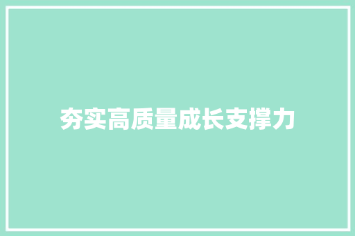 夯实高质量成长支撑力