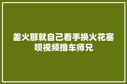 差火那就自己着手换火花塞呗视频撸车师兄