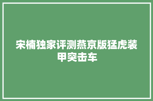 宋楠独家评测燕京版猛虎装甲突击车