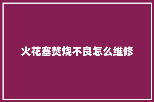 火花塞焚烧不良怎么维修
