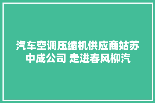 汽车空调压缩机供应商姑苏中成公司 走进春风柳汽